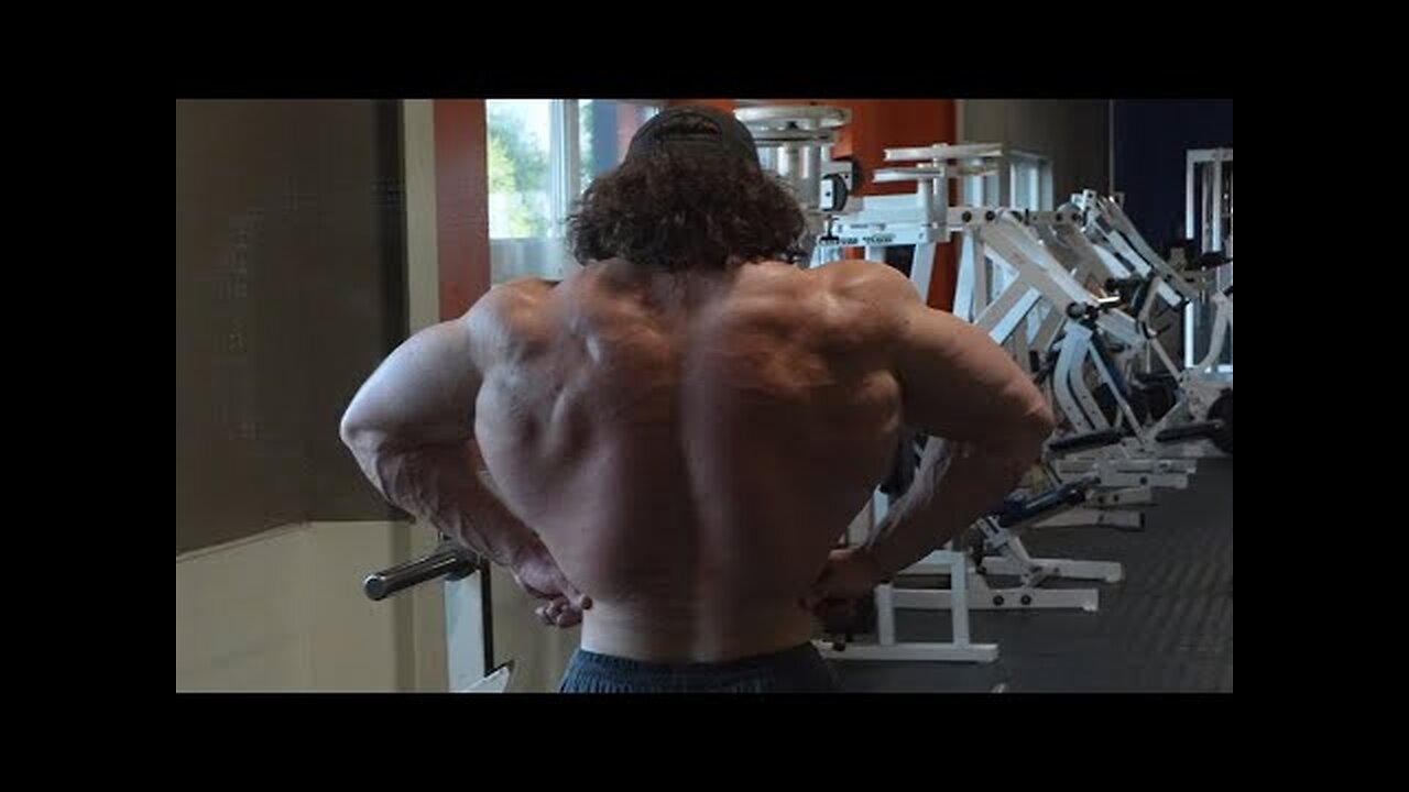 Workout - Fall Cut Day 20 - Back - Sam Sulek Clips