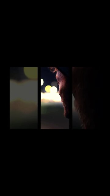 By Any Means Necessary