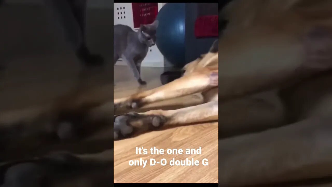 It's the one and only D-O double G #shorts