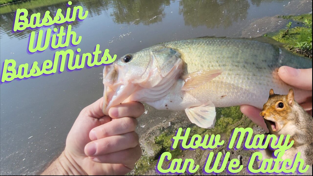 Bassin With BaseMints! How Many Can We Catch?