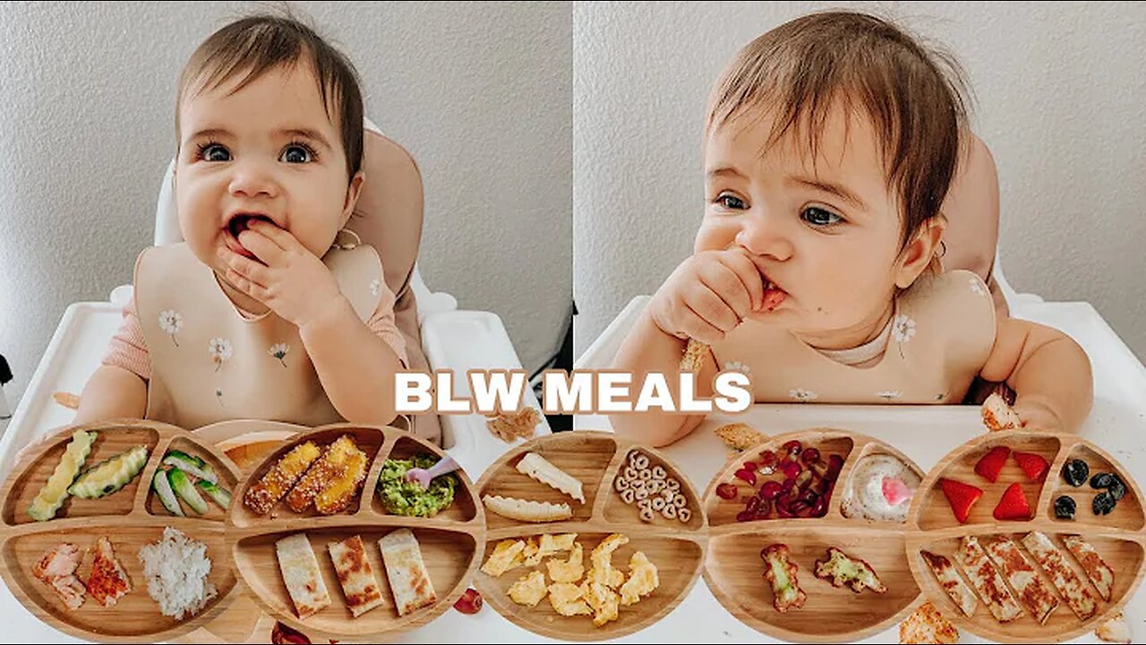 Easy Baby Led Weaning Meals | My Baby s Favorite Foods For Breakfast, Lunch & Dinner