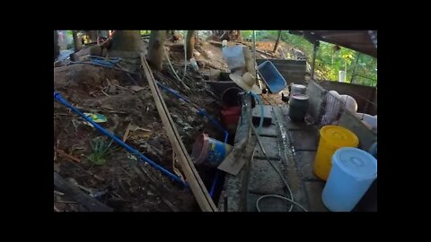 WHAT'S NEXT- CONCRETE DAYS LATER