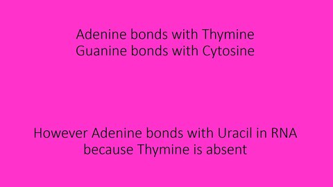 General Biology - How Do Base Pairing Rules Work?