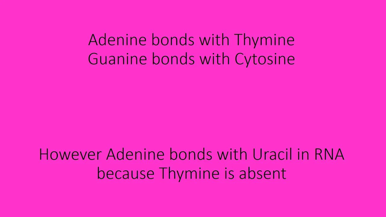 General Biology - How Do Base Pairing Rules Work?
