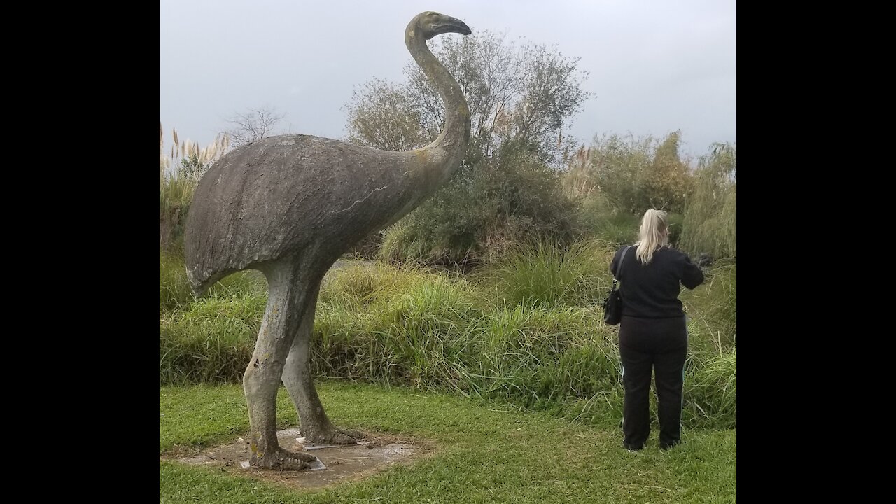 Katikati Bird Gardens