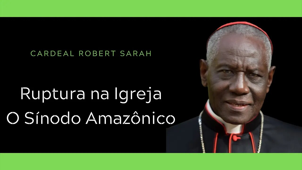 Cardeal Sarah | Ruptura na Igreja - O Sínodo Amazônico