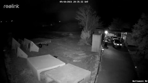 RLC 823A cat walking at nite