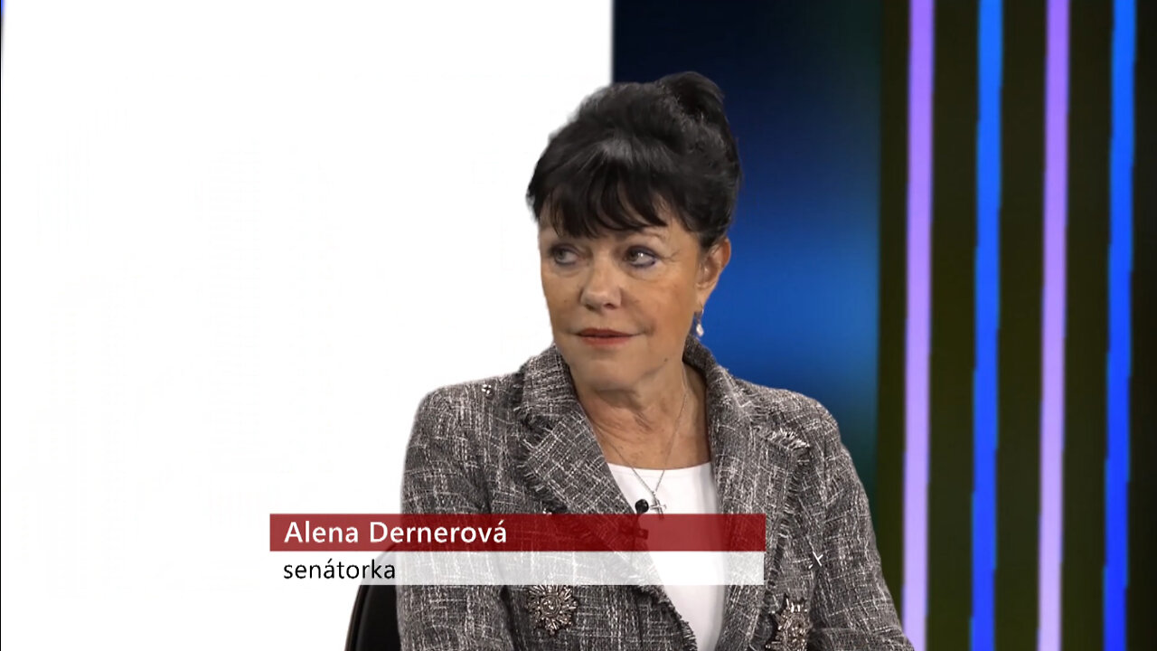 O čem se mlčí - Alena Dernerová