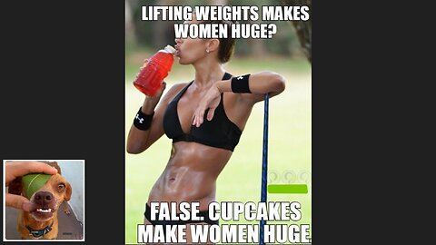Memes That Will 99.841% Make You Laugh. (e66)