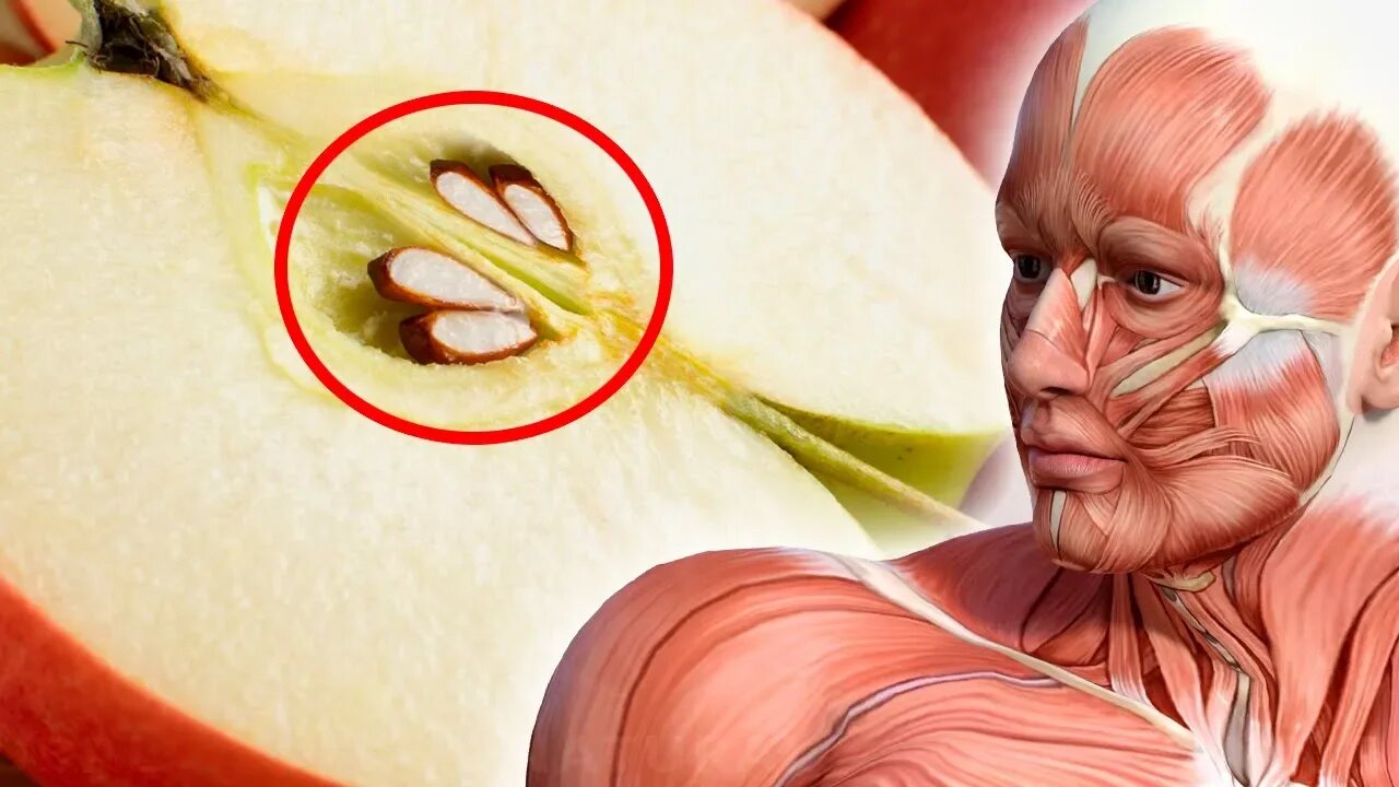 Here's What Happens When You Eat Apple Seeds