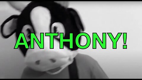 Happy Birthday ANTHONY! - COW Happy Birthday Song