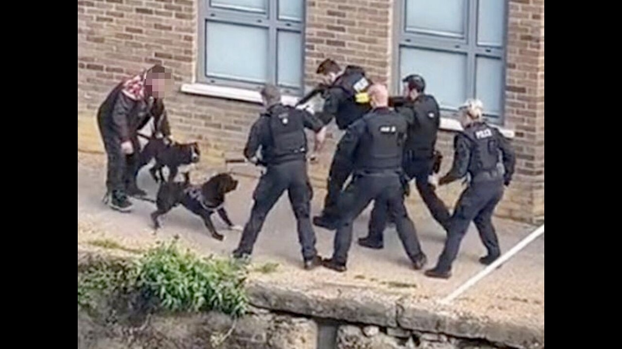 Viral video: Met Police shoot and kill two dogs in broad daylight in UK (+18)