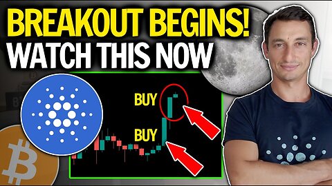 WATCH THIS BEFORE BUYING CARDANO (ADA) AT ALL TIME HIGH PRICES! Tips for New Crypto Investor