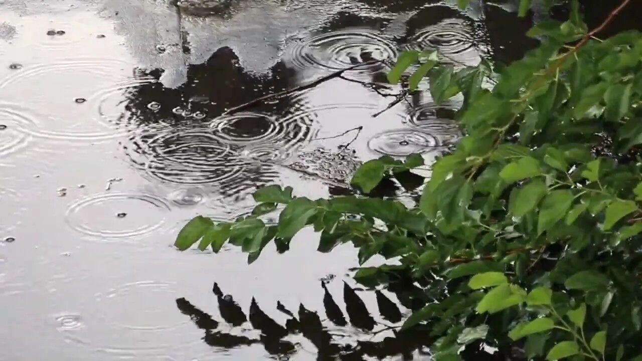 20 Minutes of Soothing Rain.