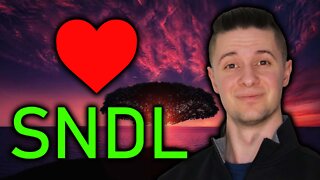 EVERYONE LOVES SNDL STOCK | WATCHING DWAC, CFVI, AMC, SNDL