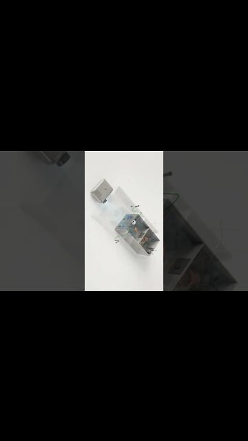 #36 Peixes são capazes de fazer contas de matemática #shorts