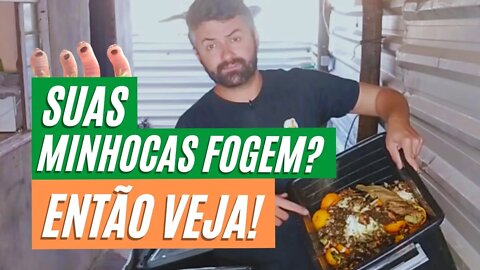 NÃO faça minhocário ANTES DE VER ESTE VÍDEO !! | Minhocas Belo Horizonte