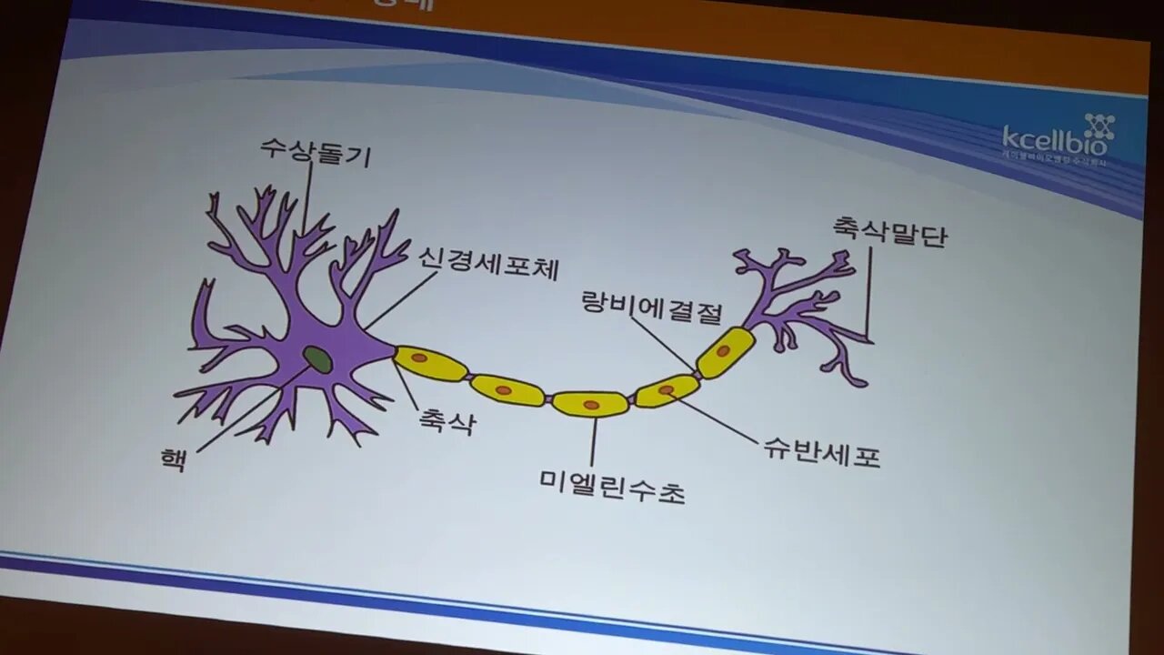 메타버스, NFT, korea 2020, conference, 코엑스, 오디토리움, 이종성, 케이셀바이오, 대표이사,줄기세포, stemcell story, Jongsung Lee