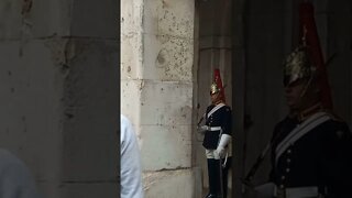 Step back #thekingsguard