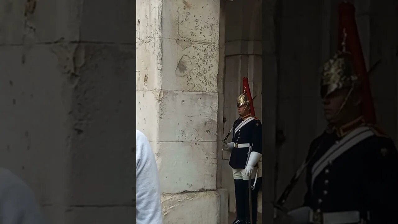 Step back #thekingsguard