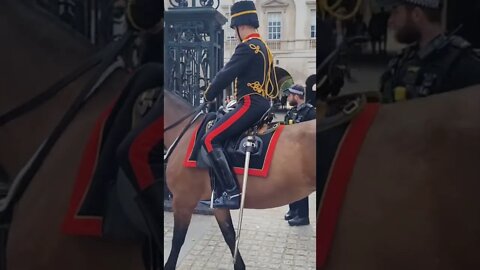 Queen's Guard horse taken back k to stables #horseguardsparade