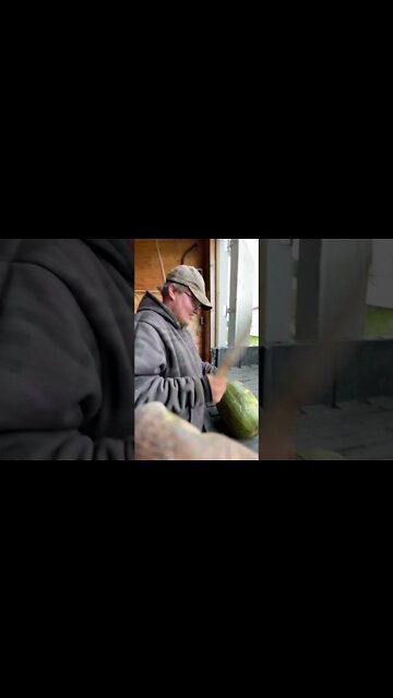 Tim beating a pumpkin with a stick #shorts