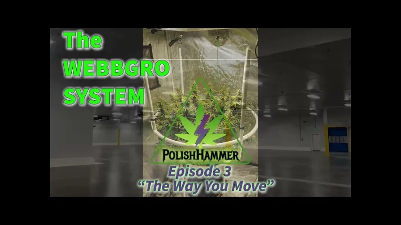 WebbGro System Ep.3 "The Way You Move" πΈπ²π½π¨ #WEBBGRO #NORTHGENETICS #SPIDERFARMER #420