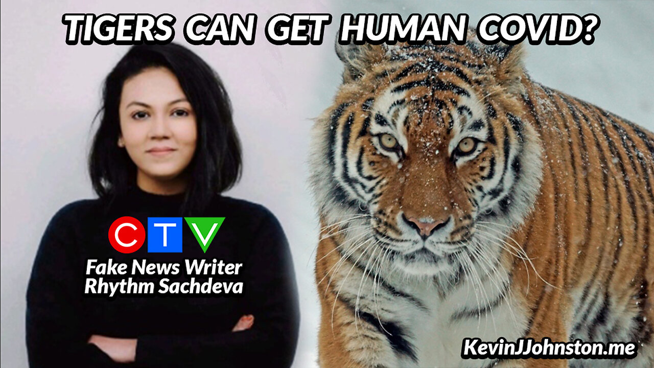 Tigers Can Get COVID-19 According To Fake News CTV