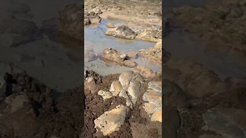 Ocean Rock pool beach fun #ocean #beach