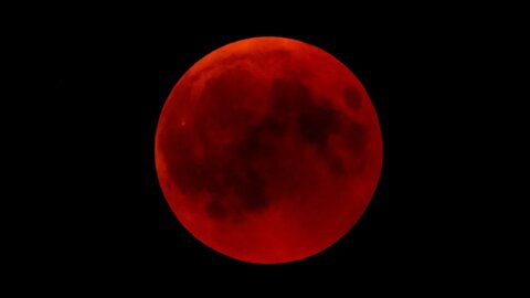 Flower Moon And Lunar Eclipse Viewing Party Set For Lethbridge - May 13, 2022 - Micah Quinn