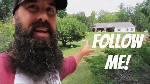 Taking a walk in nature through the John Hay Estate | Lake Sunapee, NH