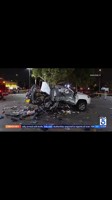 Dazed & Bearded Towel Walks On Sunshine