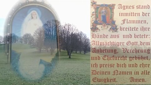 5. Tag Liebesflammen-Novene - - deinen vollkommenen Gehorsam gegen Gott (5. Tag)