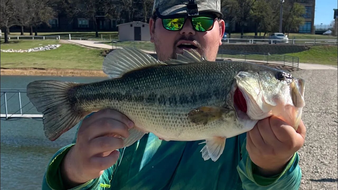 Bed Fishing for Giant Bass!