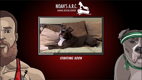 Fitness w/the Bearded Bros [Week 7] - Shoulders // Animal Rescue