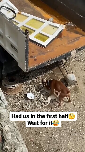 Wait till the end 😂🤣