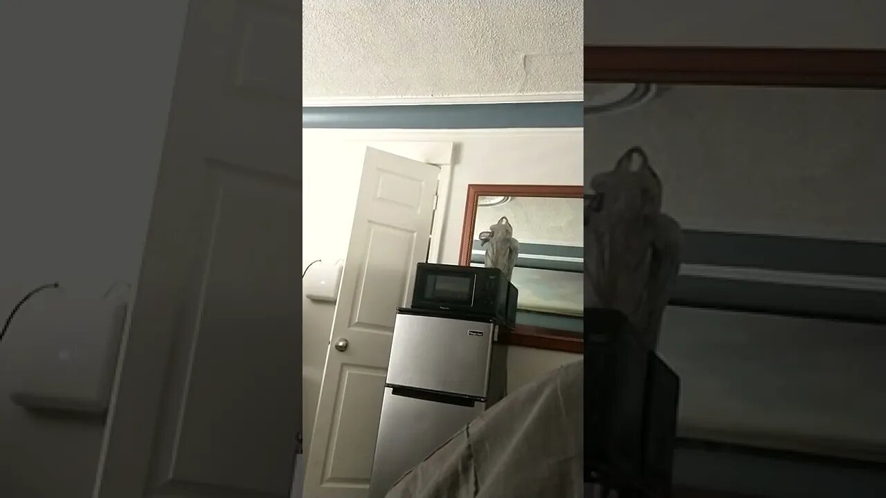 They couldn't get away with #gaslighting me this time! #gangstalking sirens #noiseharassment