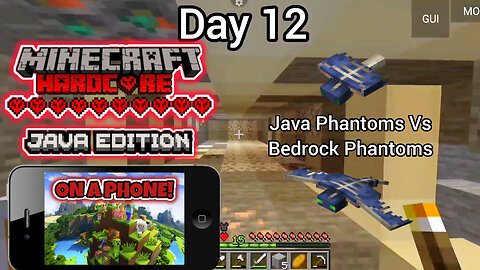Trying to Defeat the Ender Dragon in Minecraft Hardcore; But I am playing Java edition on a phone