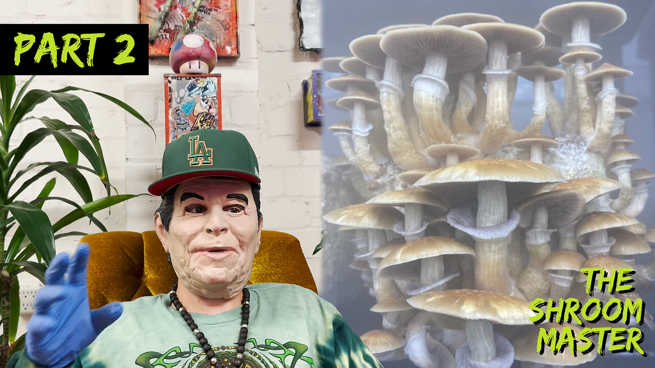 The Shroom Master Funguys LA (Part 2) - The Learning Process of Growing Mushrooms