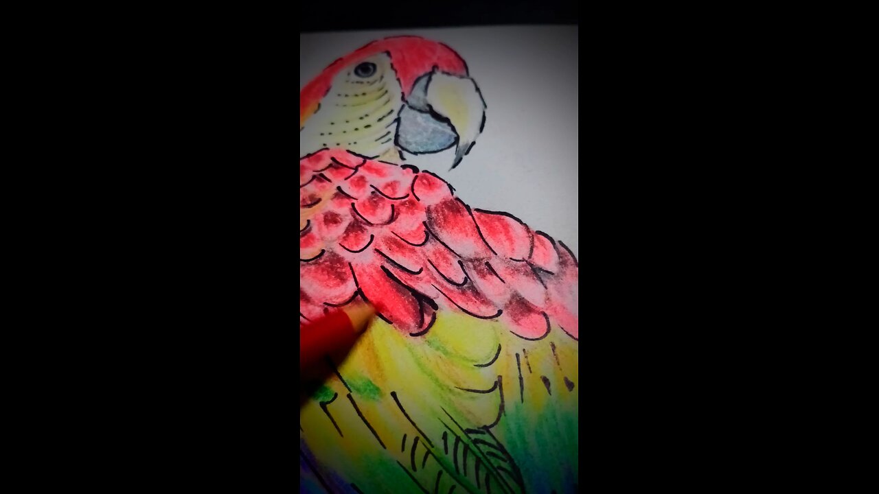 #artisticwork #art #artisticpassion #artandcraft #animal #arttalent#ranbirkapoor,nisha tiwari,safa