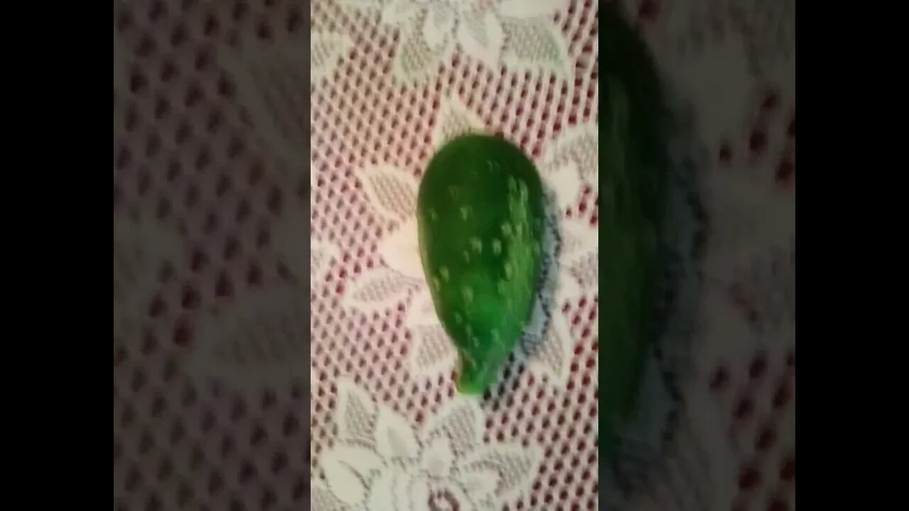 She Wannã Cucumber 🥒🥒🥒🥒🥒🥒🥒