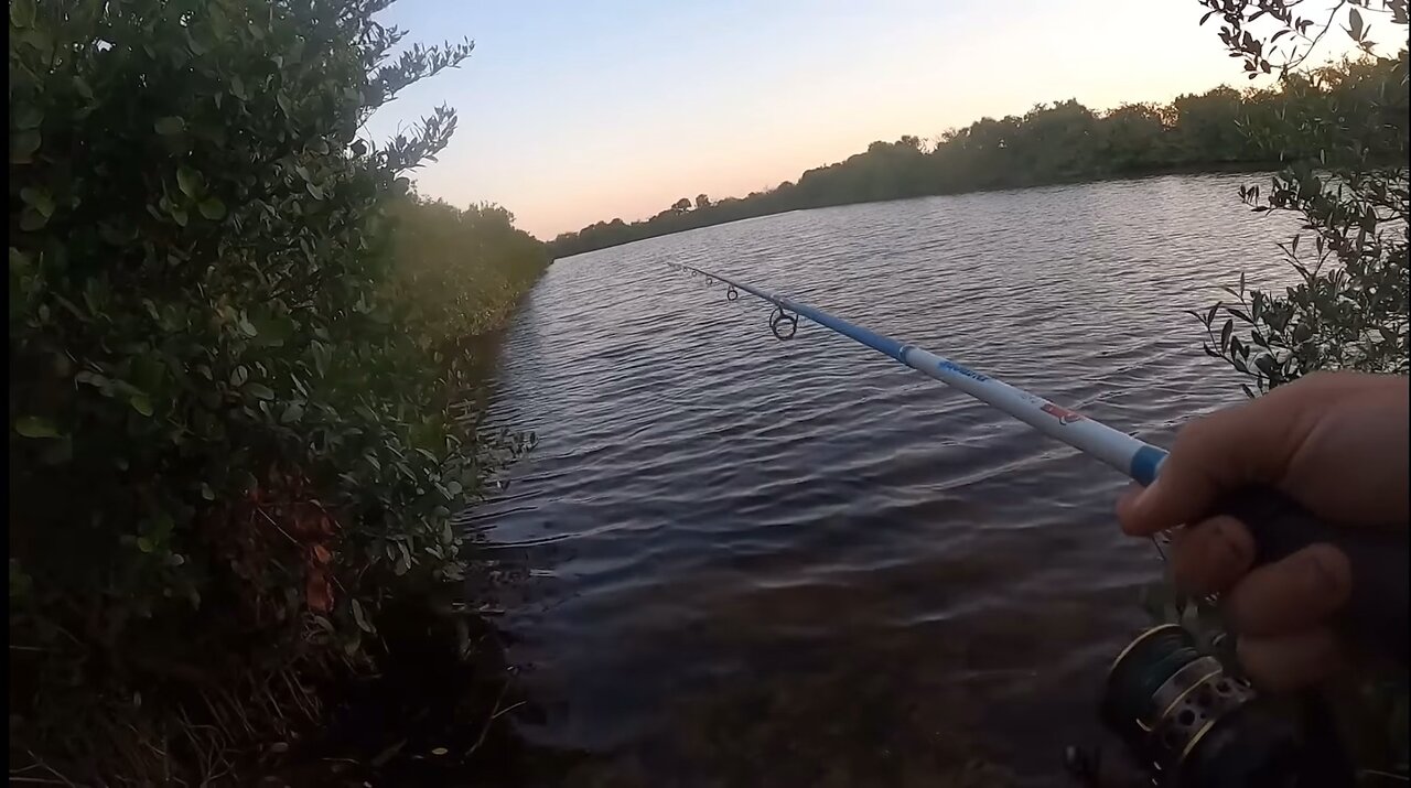 Fisherman Gets Chased By An Alligator