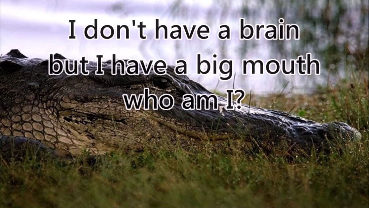 i don't have a brain but i have a big mouth who am i