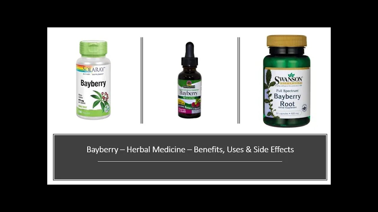 Bayberry Root Herbal Medicine Benefits, Uses & Side Effects