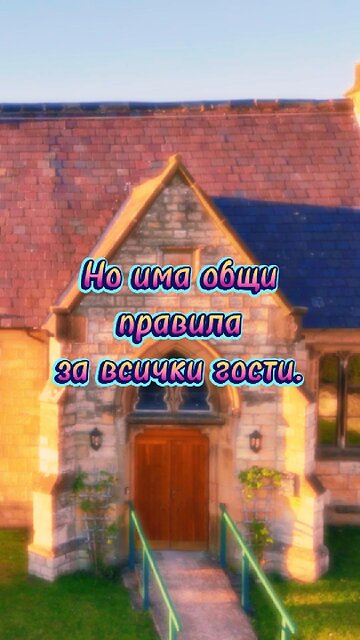 В живота ми влизат тези... (цитат от Харуки Мураками)