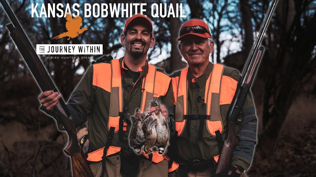 Kansas Bobwhite Quail: The Journey Within - A Bird Hunter's Diary | Mark V Peterson Hunting