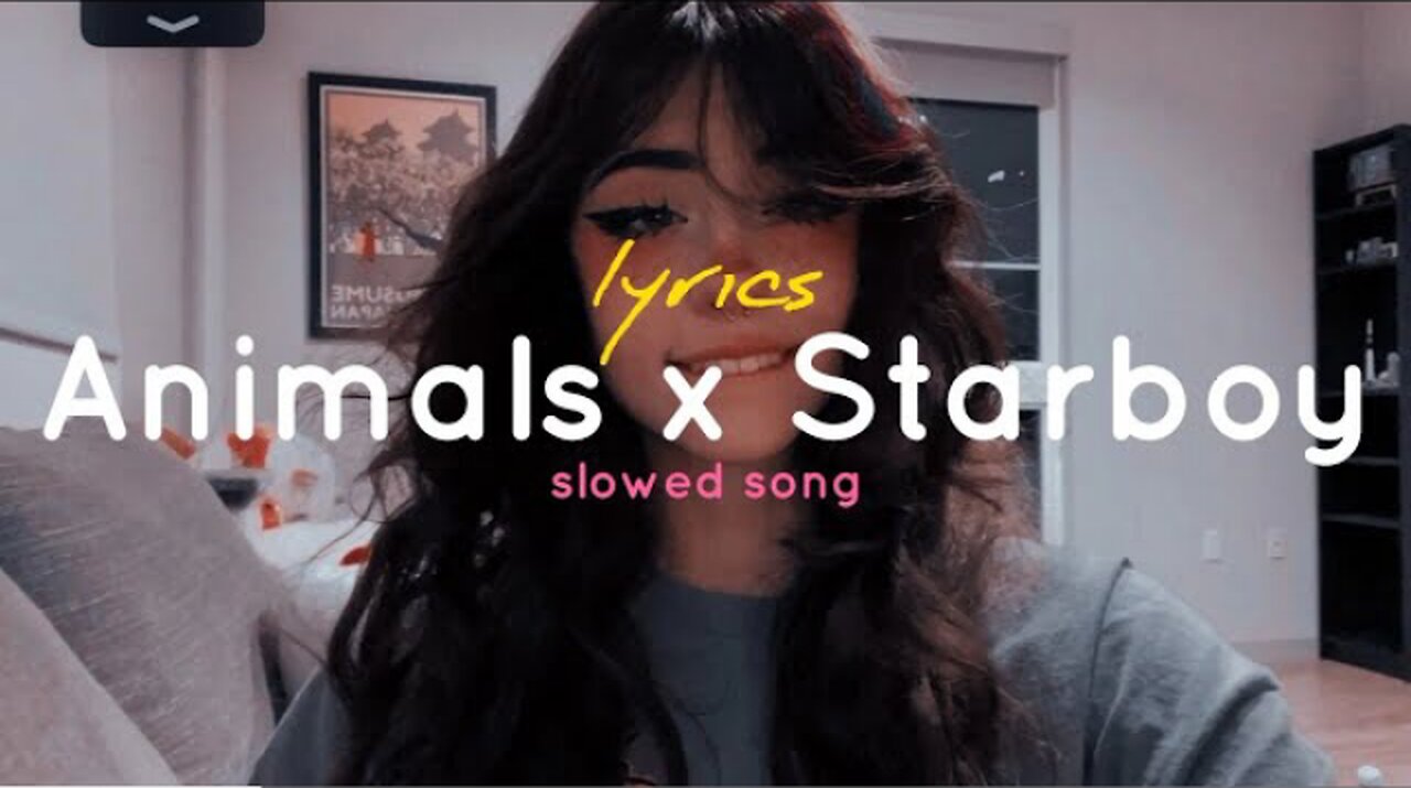 Animals x Starboy (lyrics) (slowed + reverb) ( tiktok remix )