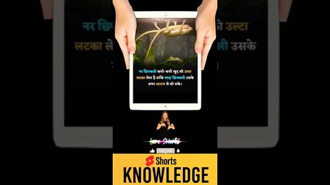 Motivational Quotes Intresting Facts & research #shorts #ytshorts #knowledge #motivation #yogi