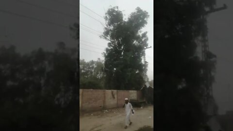 my city vehari mausam today