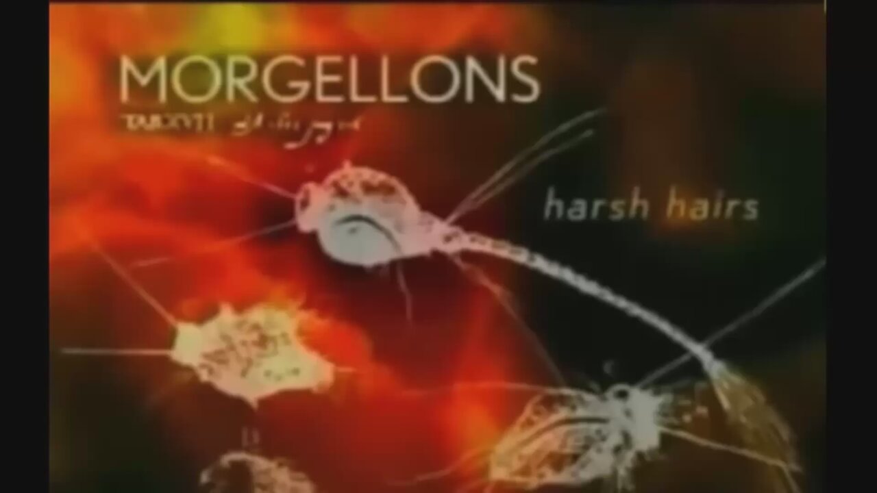 Vakdūris po mikroskopu